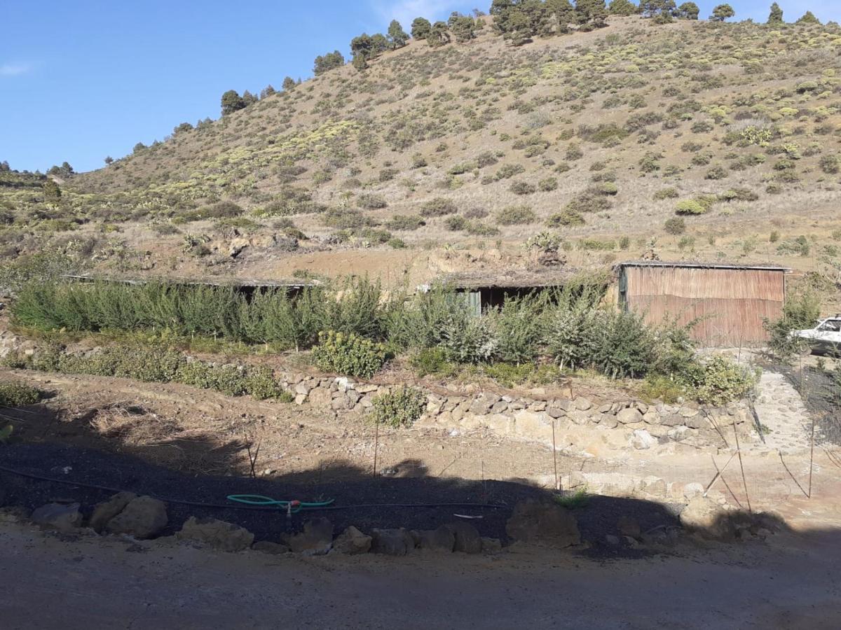 Casa Rural Los Santillos El Pinar  Exterior foto